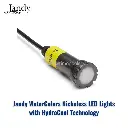Jandy WaterColors Nicheless LED Lights with HydroCool Technology.webp