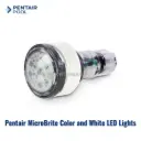 Pentair MicroBrite Color and White LED Lights